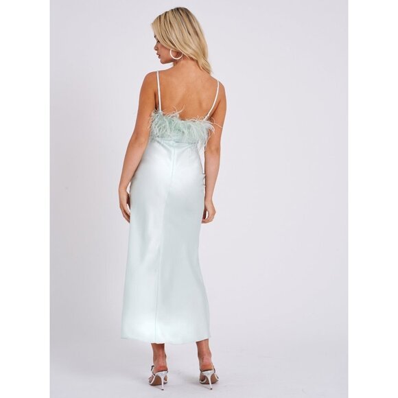 Yanir Satin Maxi Feathered Dress - Picture 4 of 9
